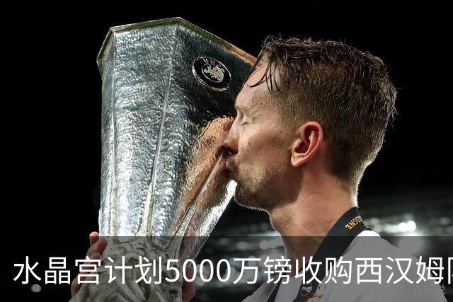 水晶宫计划5000万镑收购西汉姆队长鲍文以填补萨尔空缺